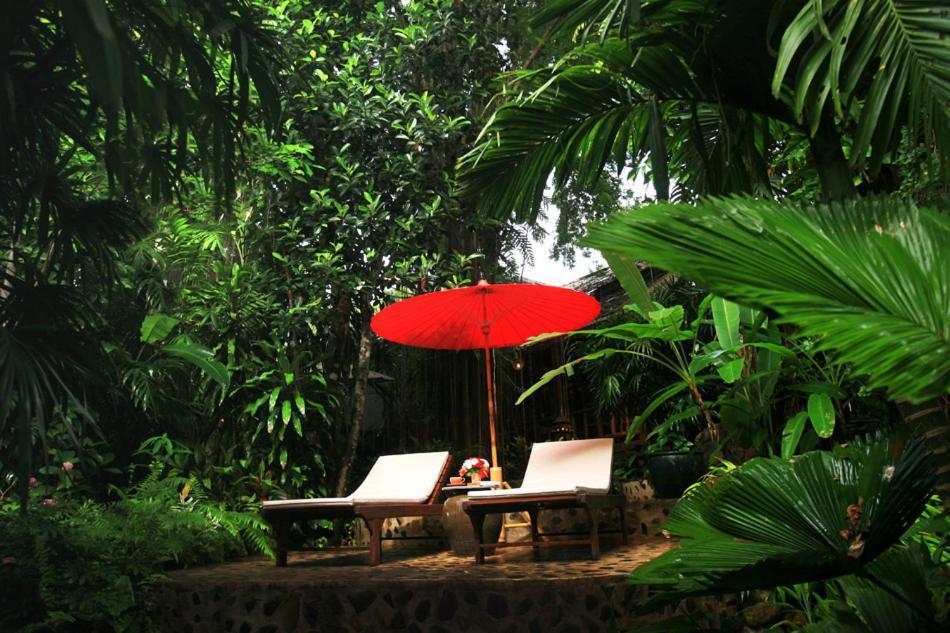 Rain Forest Resort Ban Pak Yang Ngoại thất bức ảnh